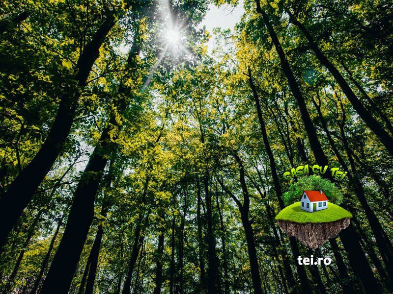Crevedia, Casa cu Tei teren langa padure intrare din DN1A